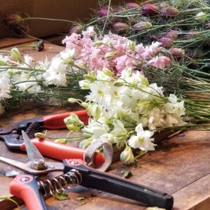 DIY Bride Boot Camp | TBD | Time TBD