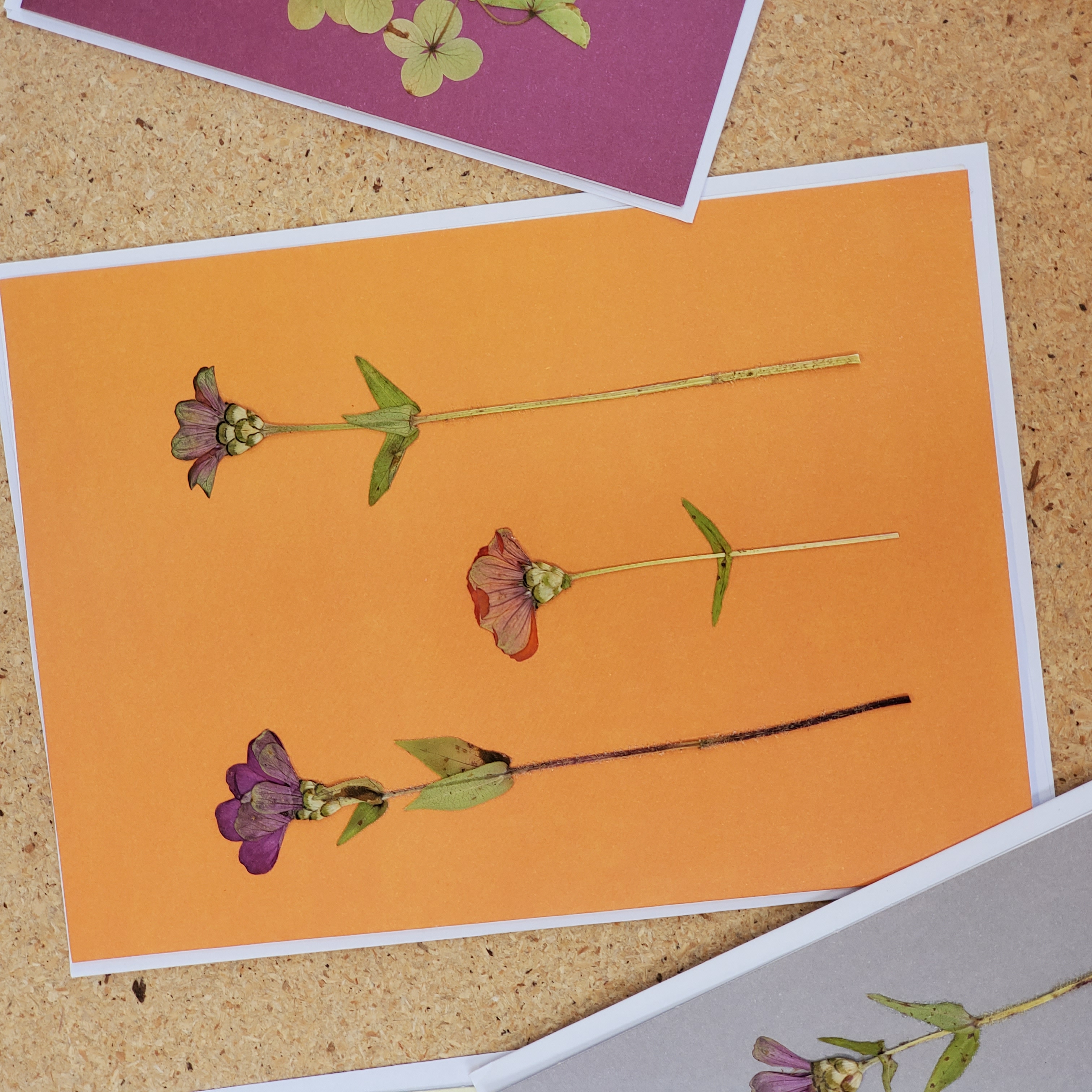 Farm-Pressed Flower Cards Workshop