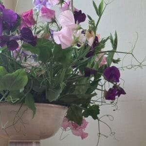Garden Party Compote | July 19, 2026 | 3:00 pm – 5:00 pm