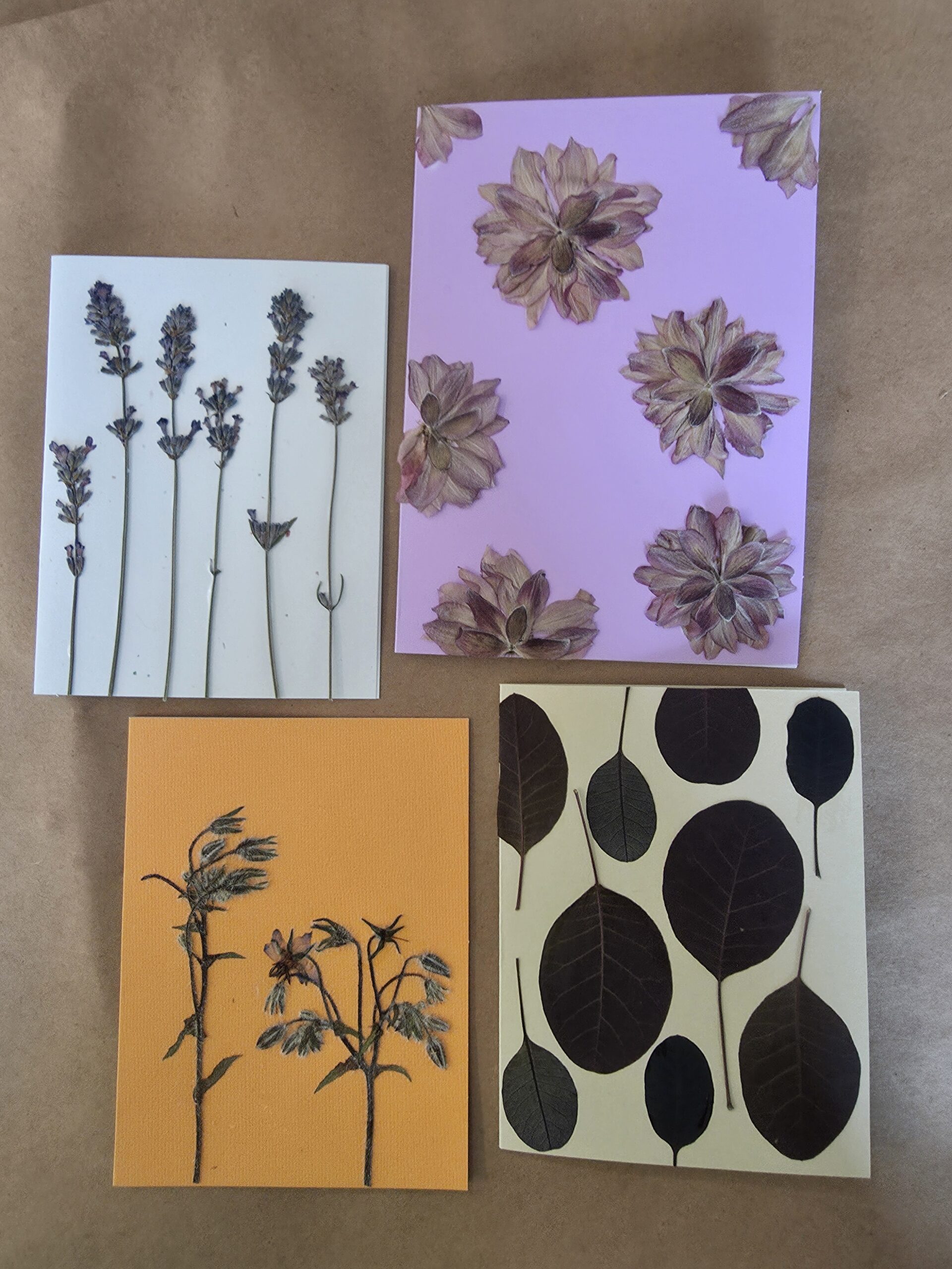 Pressed Flower Treasures | June 21, 2026 | 2:00 pm - 4:00 pm - Image 9