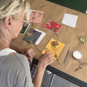 Pressed Flower Treasures | June 21, 2026 | 2:00 pm – 4:00 pm